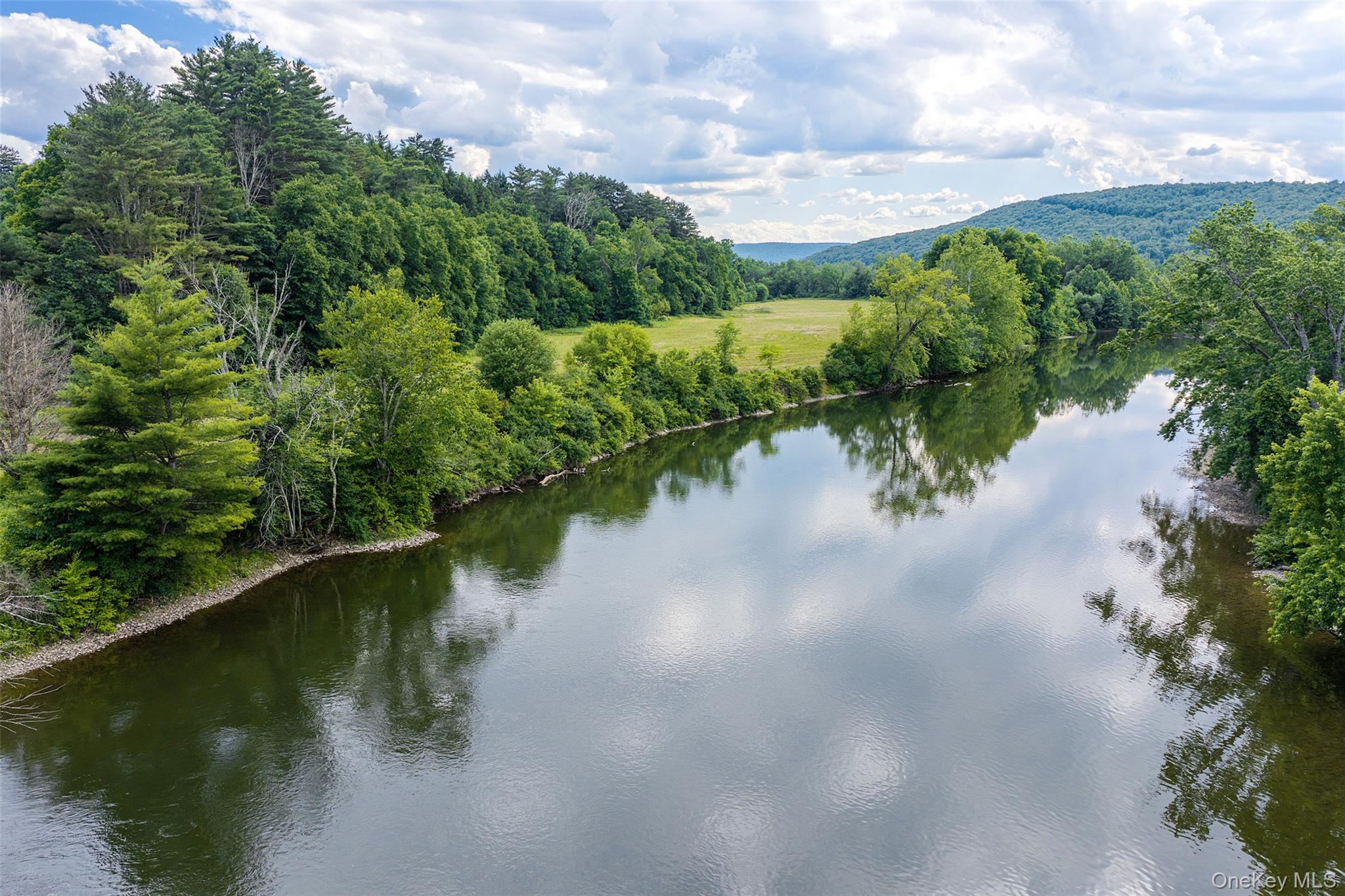 Homes for sale in Sidney, NY | 1045 Covered Bridge Rd, Sidney, NY 13849 | MLS# 1027071