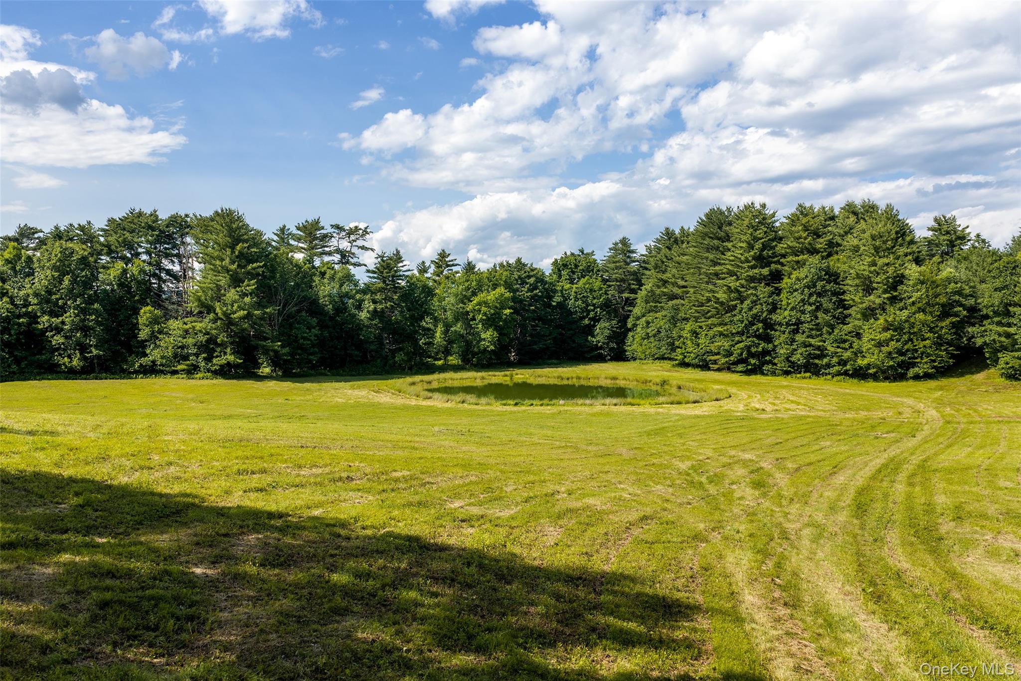 Homes for sale in Sidney, NY | 1045 Covered Bridge Rd, Sidney, NY 13849 | MLS# 1027071