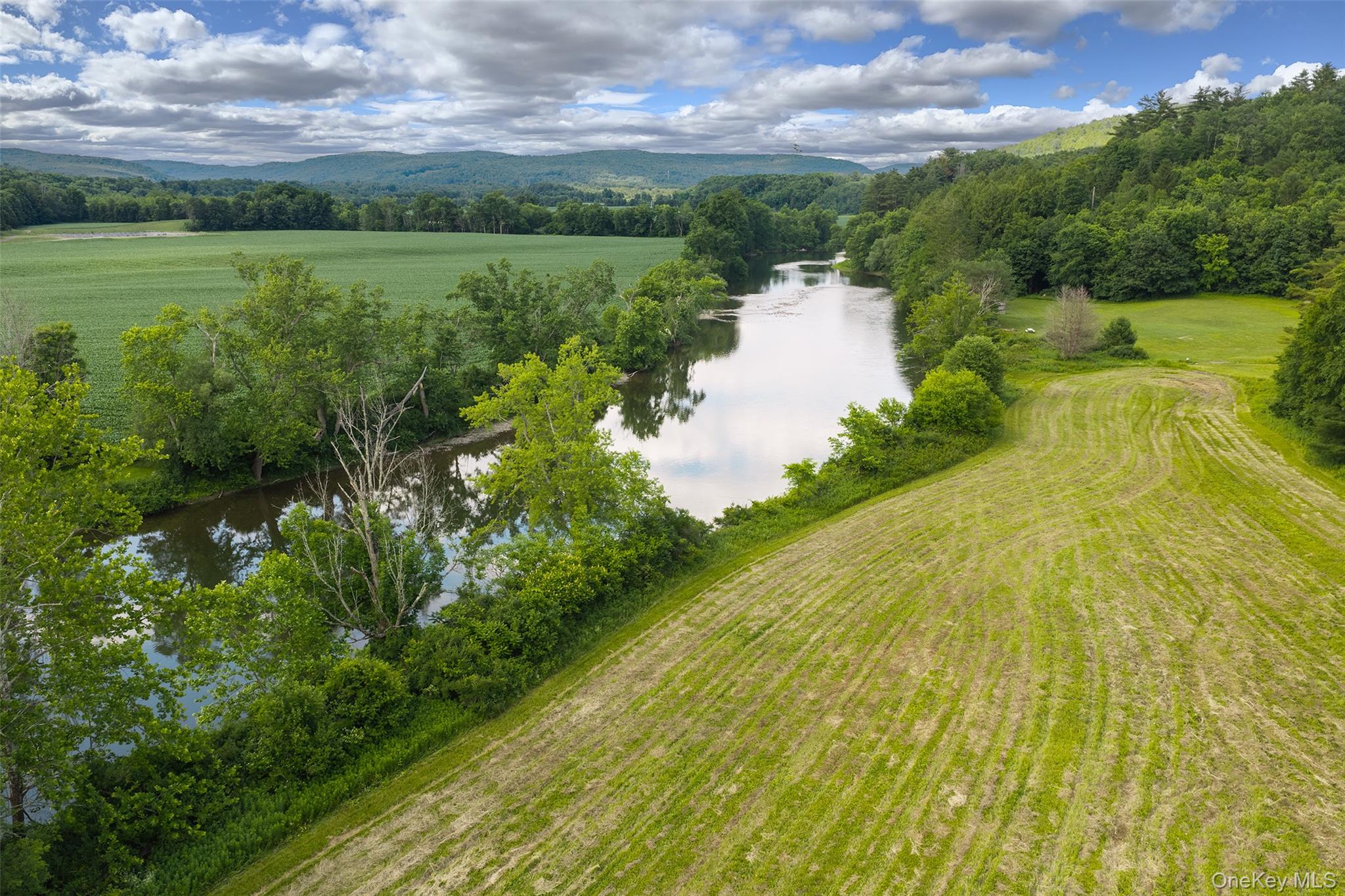 Homes for sale in Sidney, NY | 1045 Covered Bridge Rd, Sidney, NY 13849 | MLS# 1027071