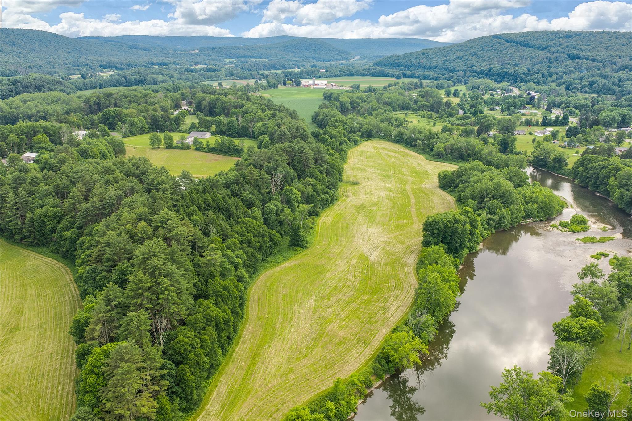 Homes for sale in Sidney, NY | 1045 Covered Bridge Rd, Sidney, NY 13849 | MLS# 1027071