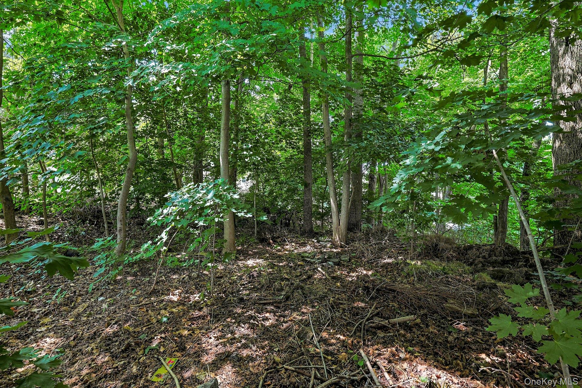 7th image of Worth Pl, Mount Pleasant, NY 10532 | MLS# 1027269