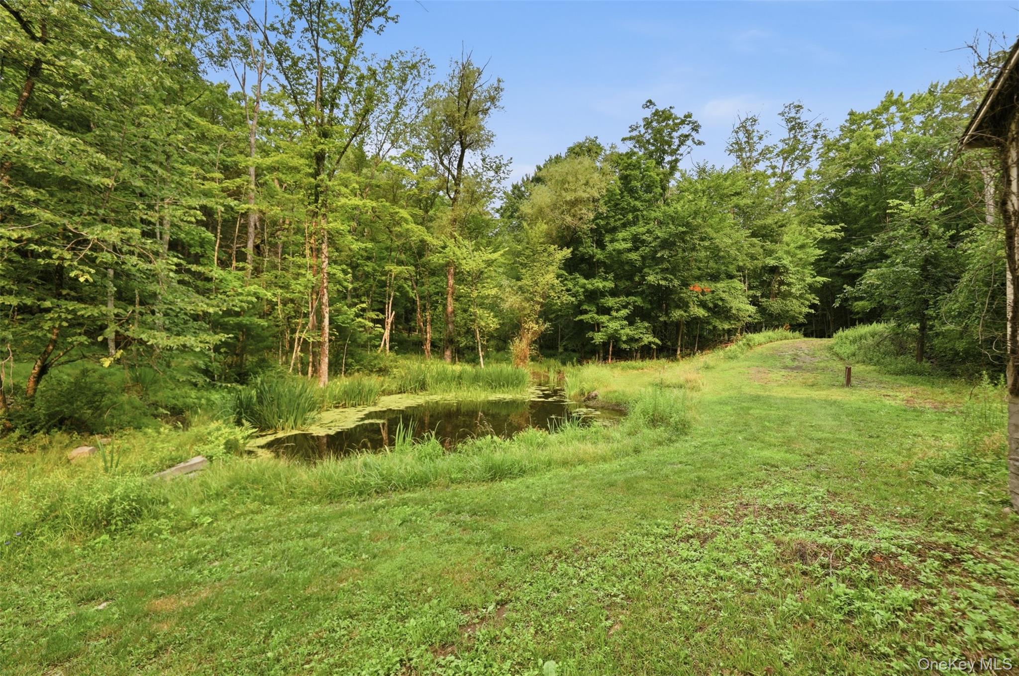 45th image of 4230 4257 Atwood Rd, Marbletown, NY 12484 | MLS# 1027315