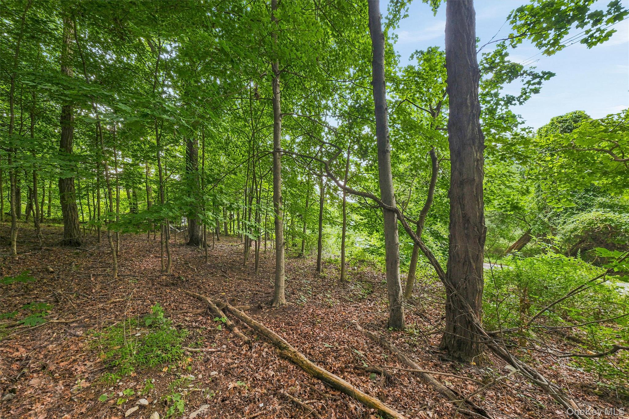 4th image of Brewer Rd, Newburgh (town), NY 12550 | MLS# 1027625