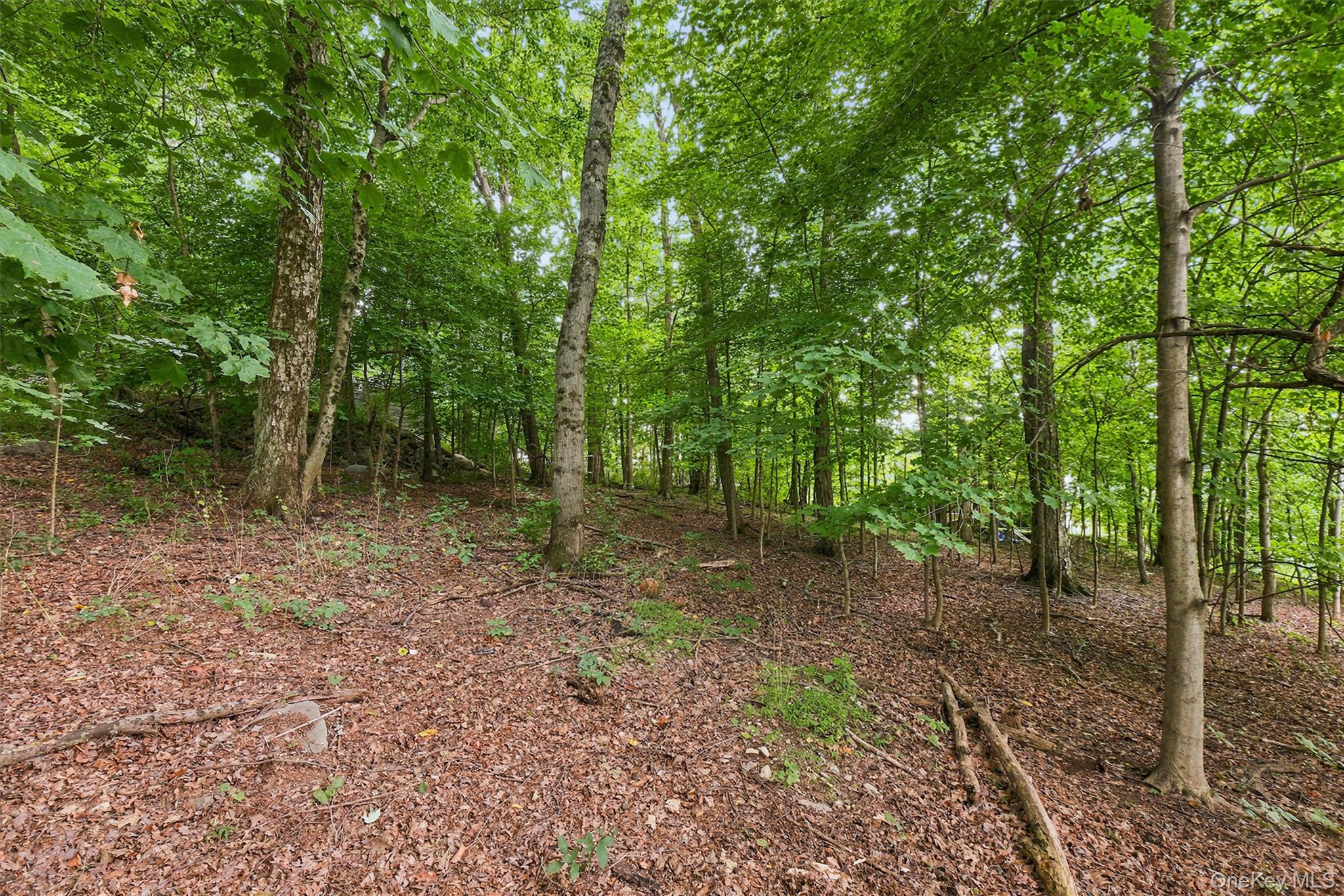 3rd image of Brewer Rd, Newburgh (town), NY 12550 | MLS# 1027625