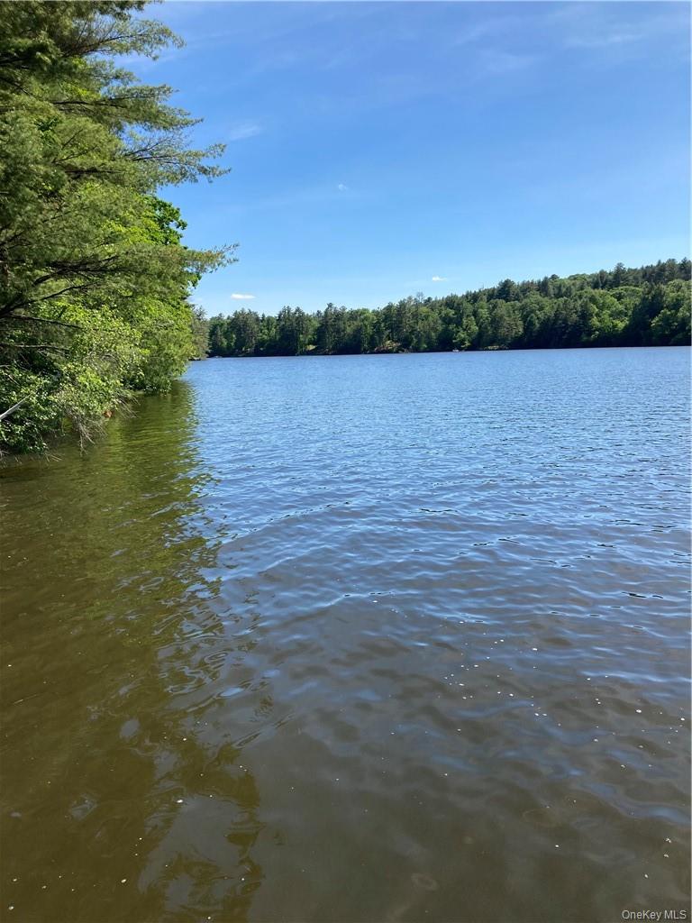 Homes for sale in Forestburgh, NY | Plank Road Forestburg New York, Forestburgh, NY 12777 | MLS# 1027675
