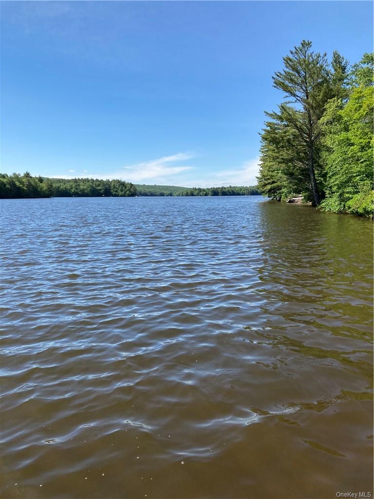 Homes for sale in Forestburgh, NY | Plank Road Forestburg New York, Forestburgh, NY 12777 | MLS# 1027675
