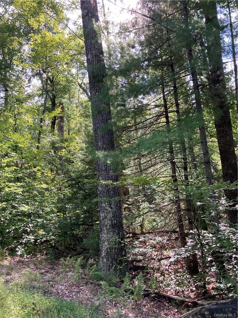 Homes for sale in Forestburgh, NY | Plank Road Forestburg New York, Forestburgh, NY 12777 | MLS# 1027675