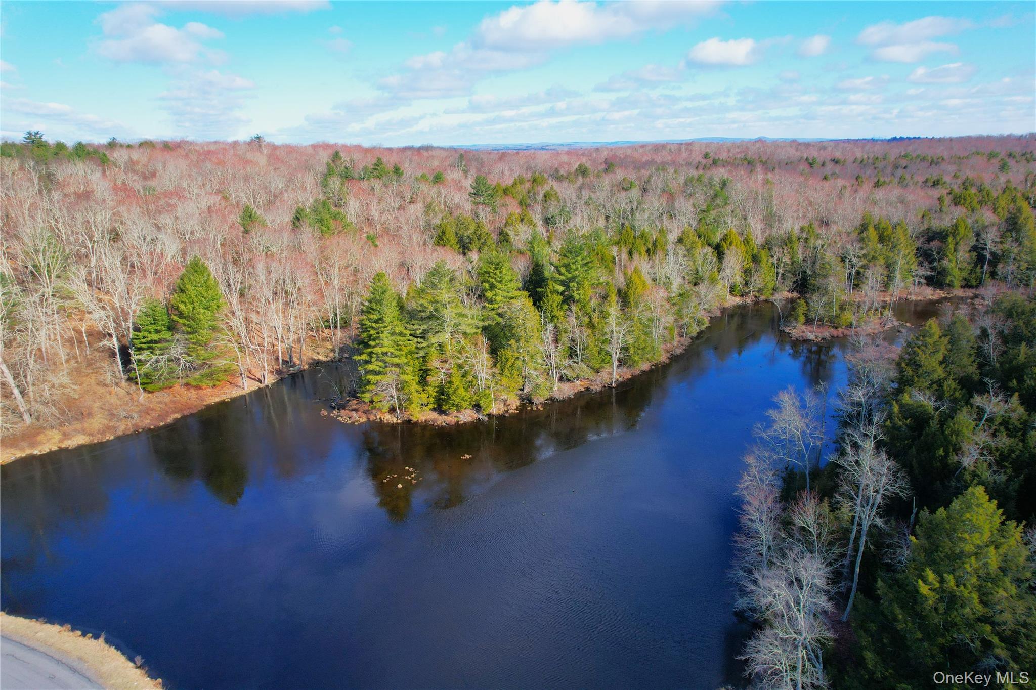 4th image of 118 Hilltop Rd, Monticello, NY 12701 | MLS# 1027783