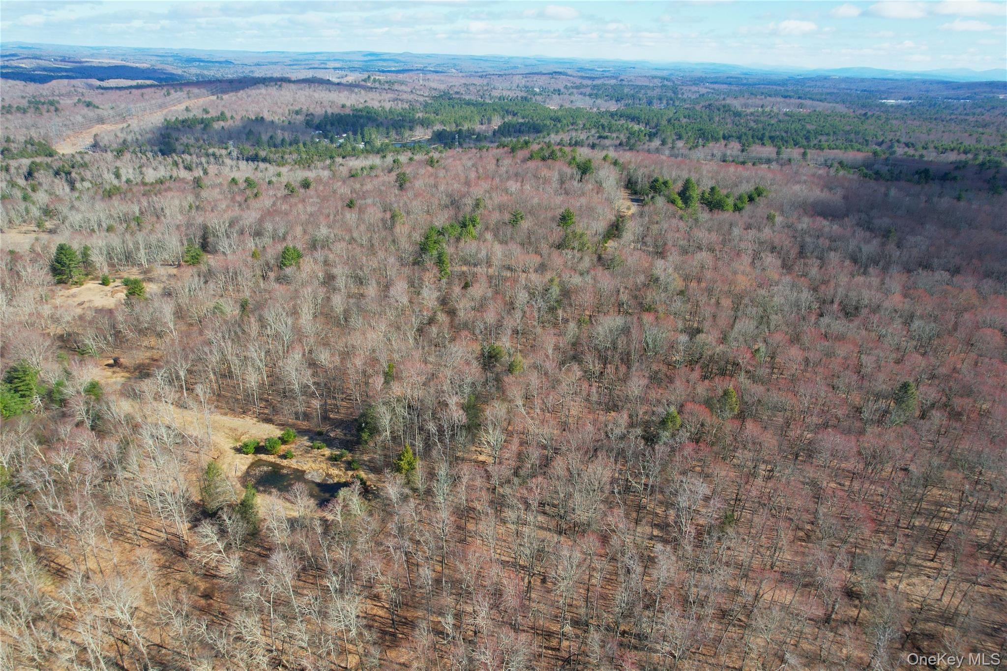 50th image of 118 Hilltop Rd, Monticello, NY 12701 | MLS# 1027783
