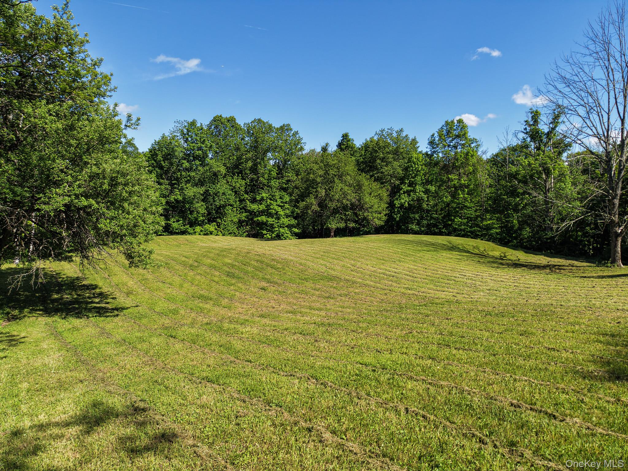 18th image of 221 Camp Medusa Rd, Rensselaerville, NY 12147 | MLS# 1028545