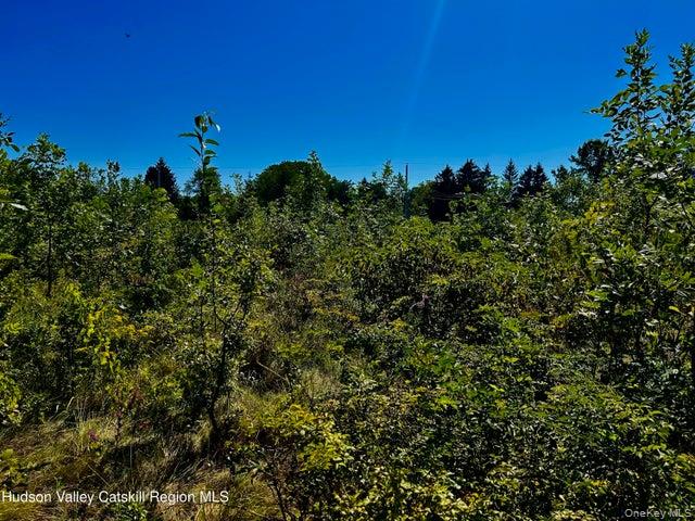 Homes for sale in Athens, NY | 001 N Vernon St, Athens, NY 12015 | MLS# 1028704