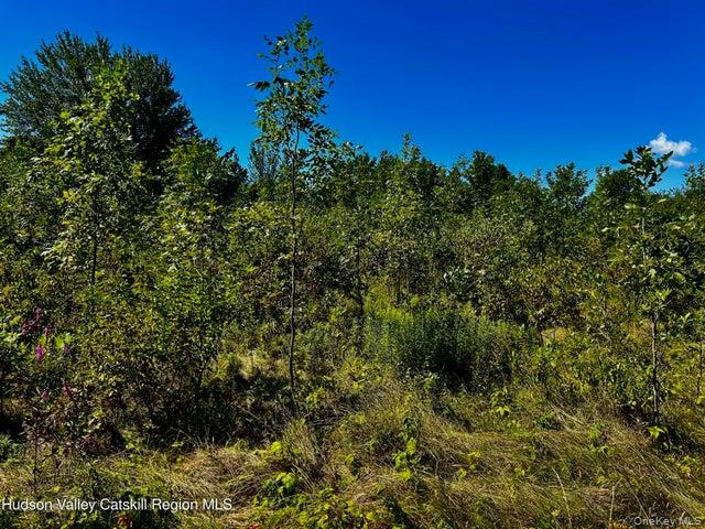 Homes for sale in Athens, NY | 001 N Vernon St, Athens, NY 12015 | MLS# 1028704