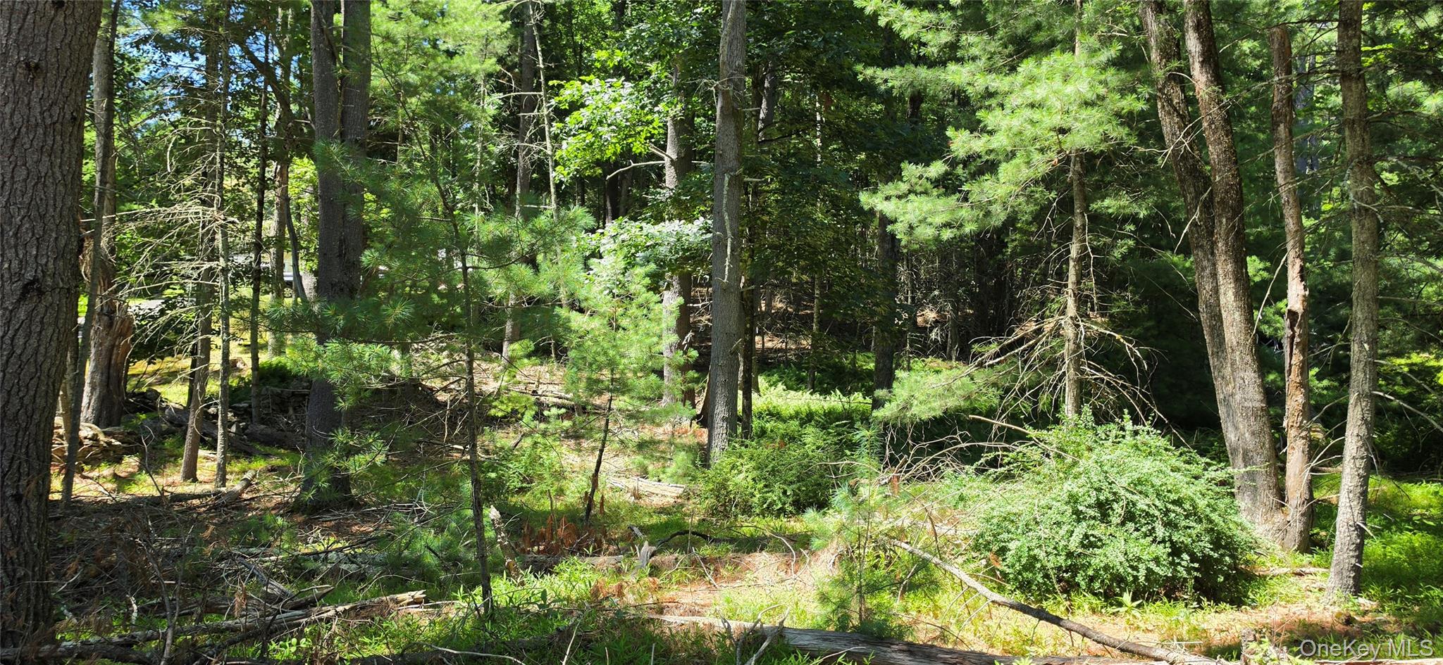 Homes for sale in Tusten, NY | Lot # 7 Irishtown Rd, Tusten, NY 12764 | MLS# 1028716