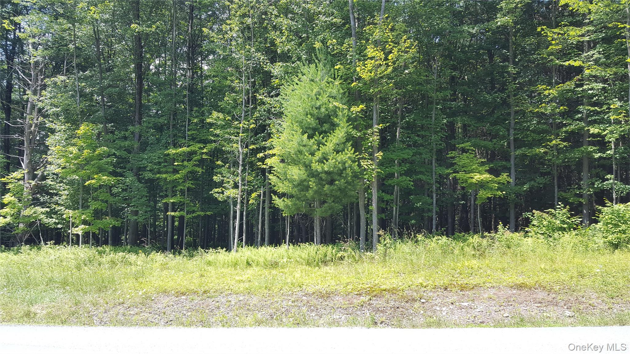 Homes for sale in Bethel, NY | Co Hwy 73, Bethel, NY 12783 | MLS# 1028785