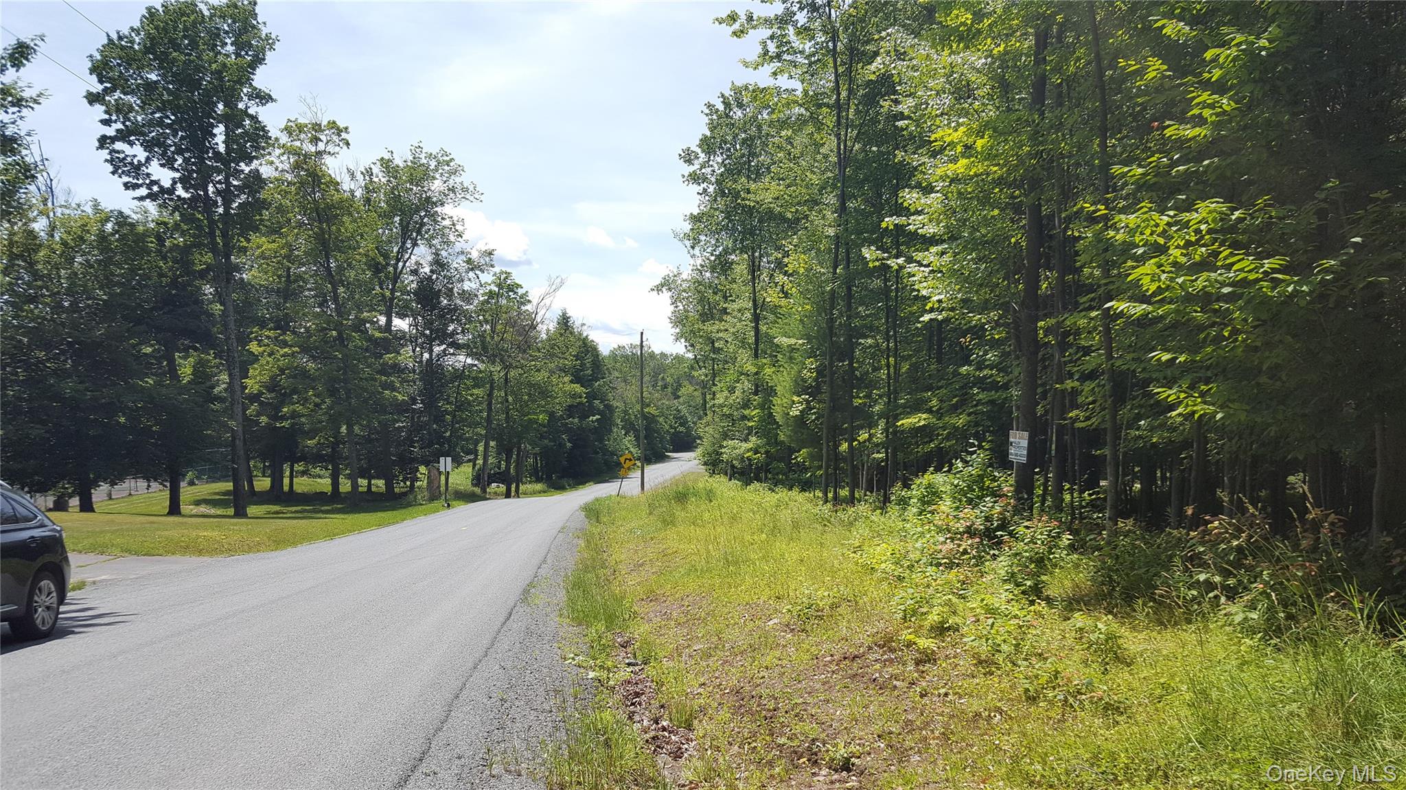 Homes for sale in Bethel, NY | Co Hwy 73, Bethel, NY 12783 | MLS# 1028785