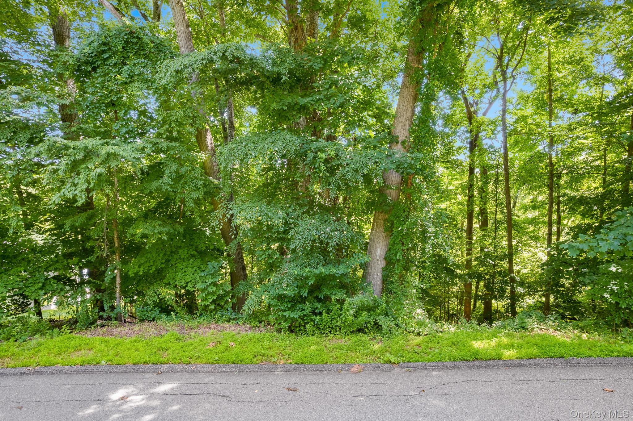 2nd image of Lot 10 Shamrock Dr, Putnam Valley, NY 10579 | MLS# 1028788