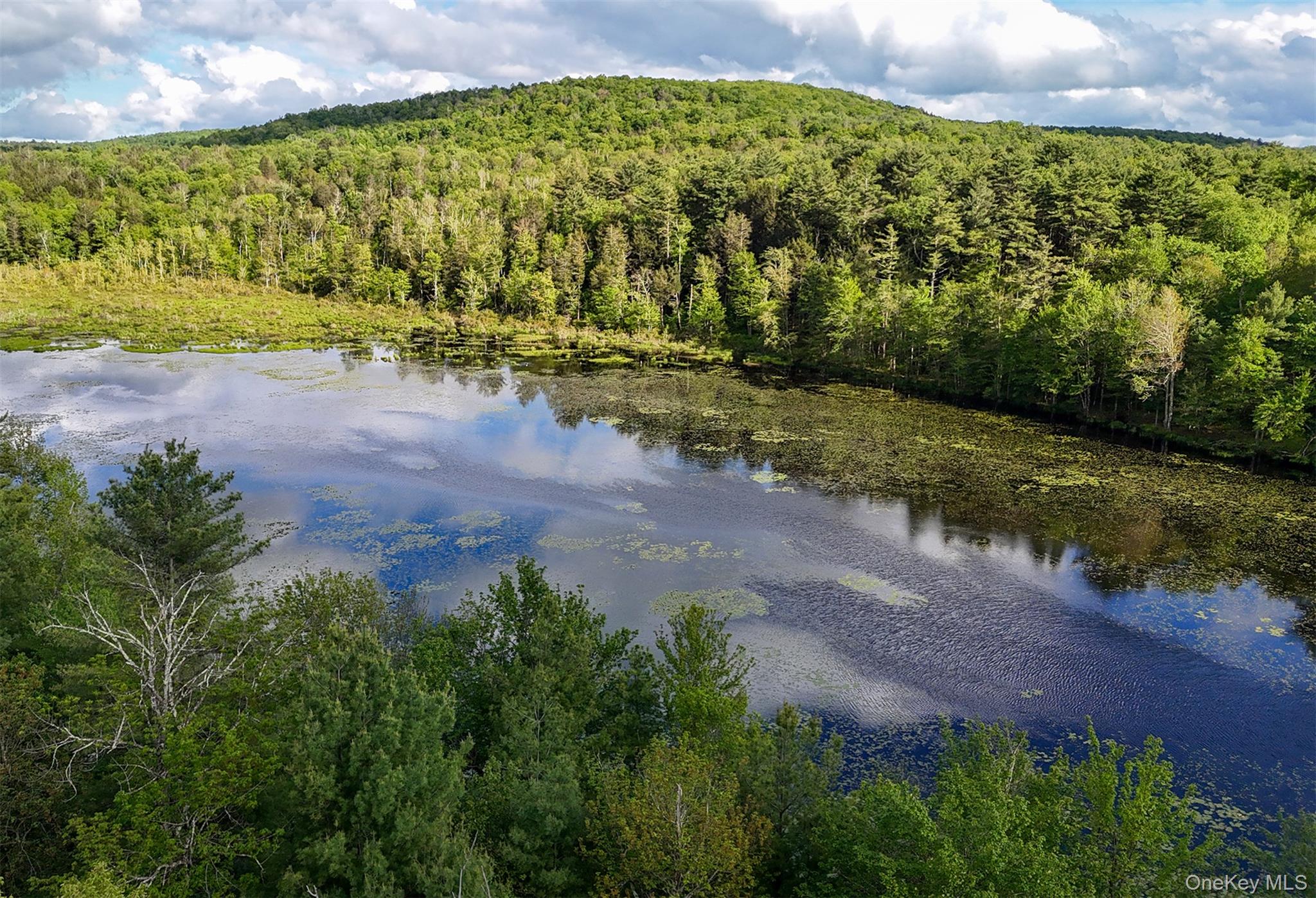 29th image of 2 Water Lilly Ln, Thompson, NY 12701 | MLS# 1029052