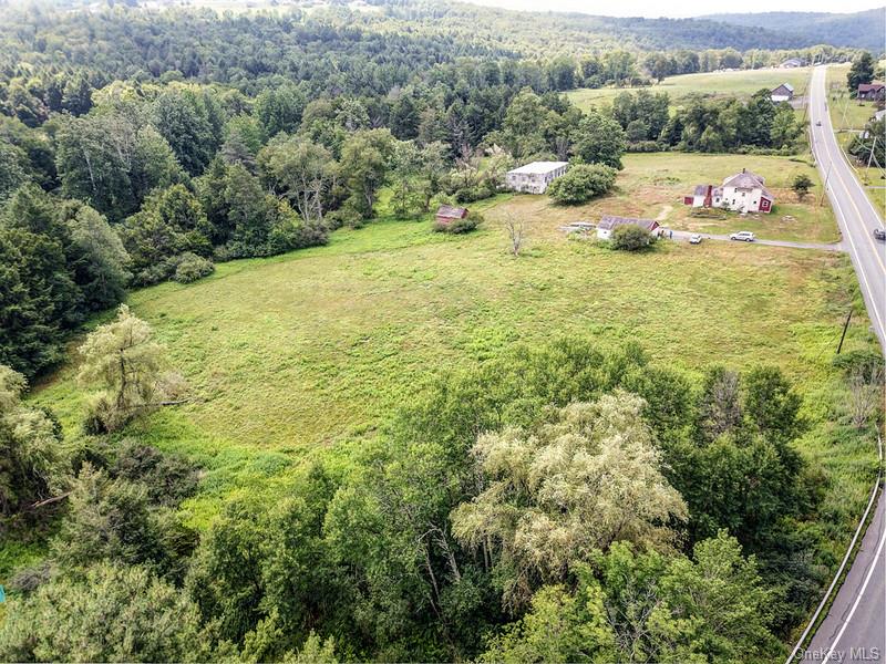 Homes for sale in Callicoon, NY | 4369 State Route 52, Callicoon, NY 12748 | MLS# 1029060