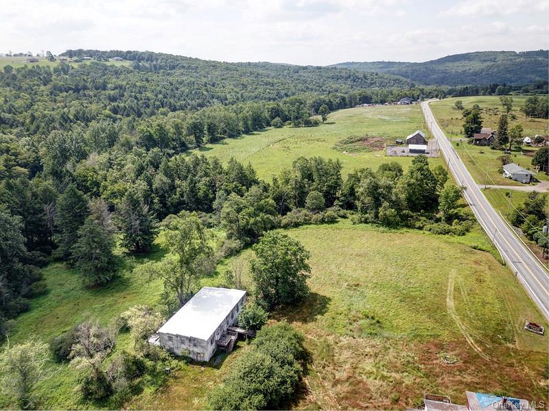 Homes for sale in Callicoon, NY | 4369 State Route 52, Callicoon, NY 12748 | MLS# 1029060