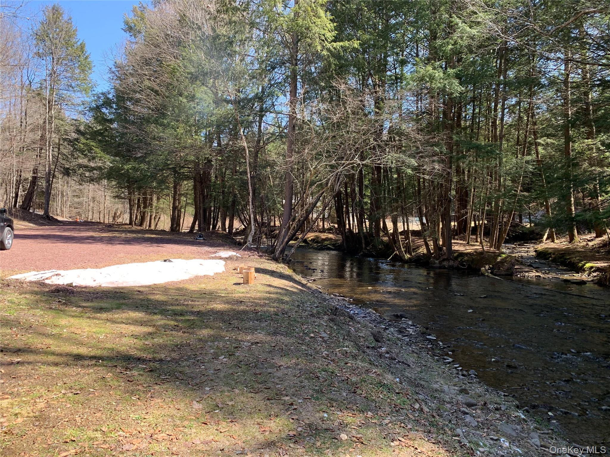 Homes for sale in Fremont, NY | 604 Basket Rd, Fremont, NY 12760 | MLS# 1029103
