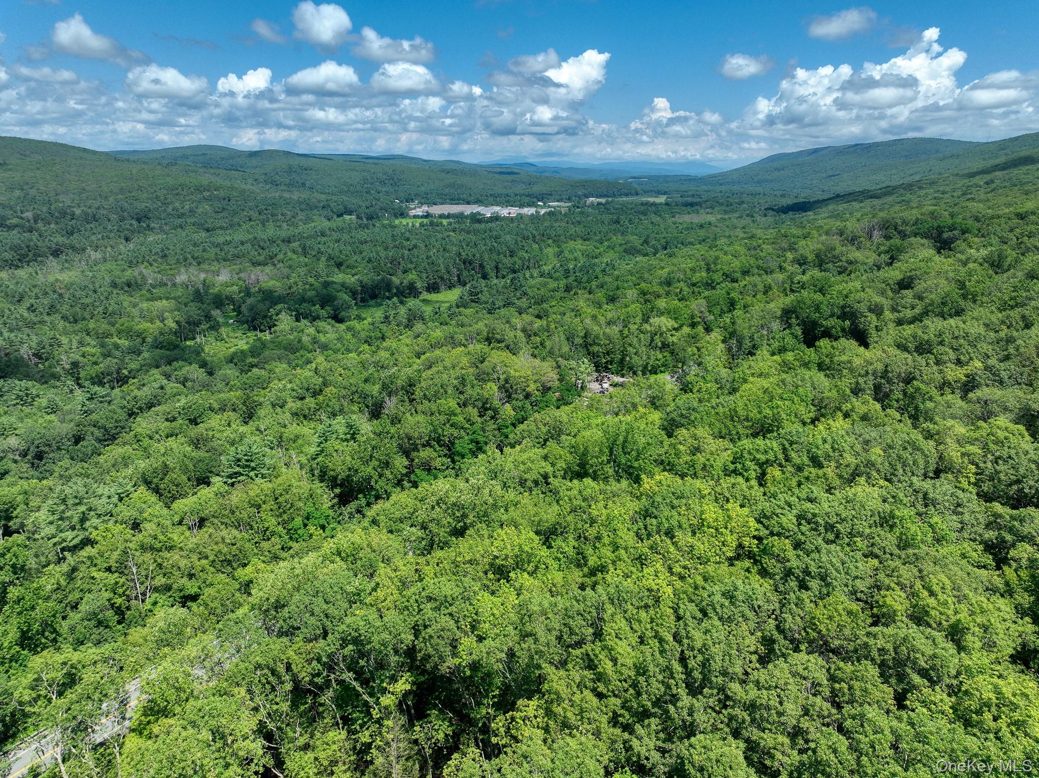 Homes for sale in Mamakating, NY | Mamakating Rd, Mamakating, NY 12790 | MLS# 1029174