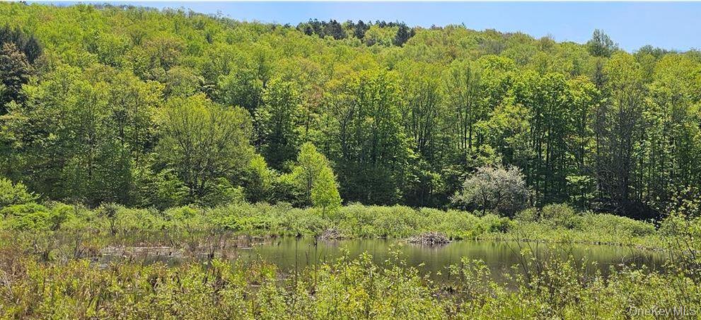 Homes for sale in Hancock, NY | 9003 County Hwy 28, Hancock, NY 12760 | MLS# 1029273
