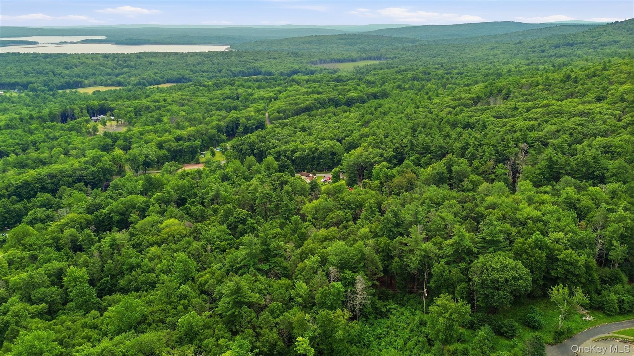 5th image of High Point Mountain Road, Olive, NY 12484 | MLS# 1029655