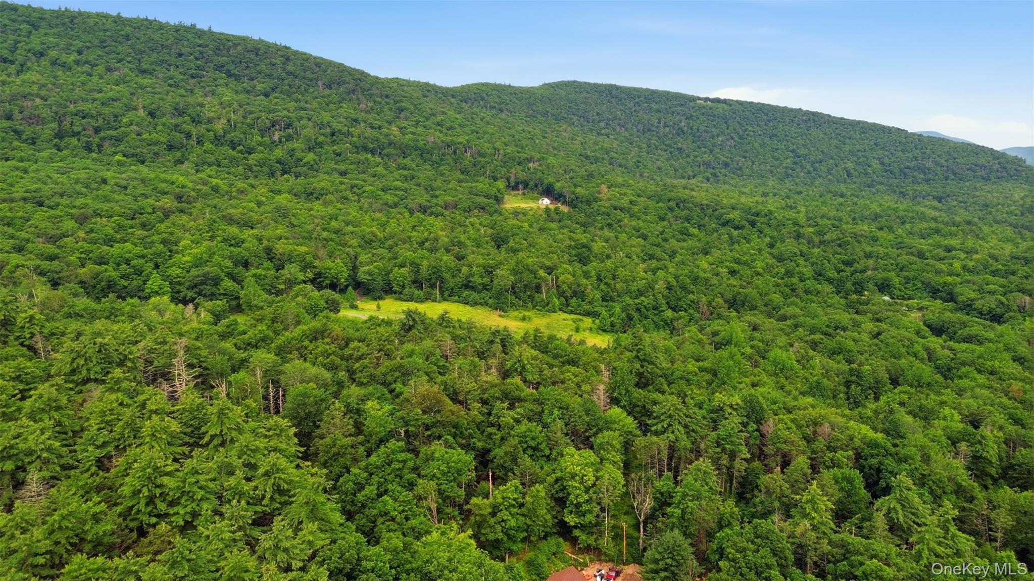 3rd image of High Point Mountain Road, Olive, NY 12484 | MLS# 1029655
