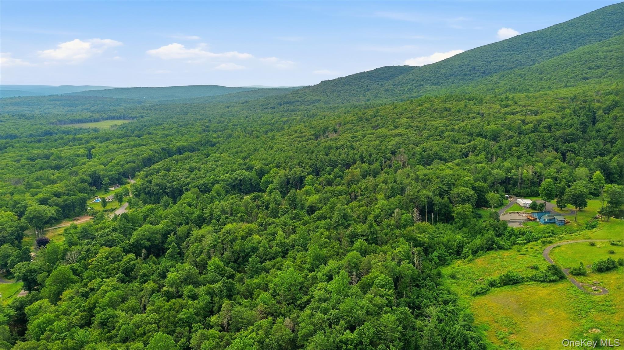 14th image of High Point Mountain Road, Olive, NY 12484 | MLS# 1029655