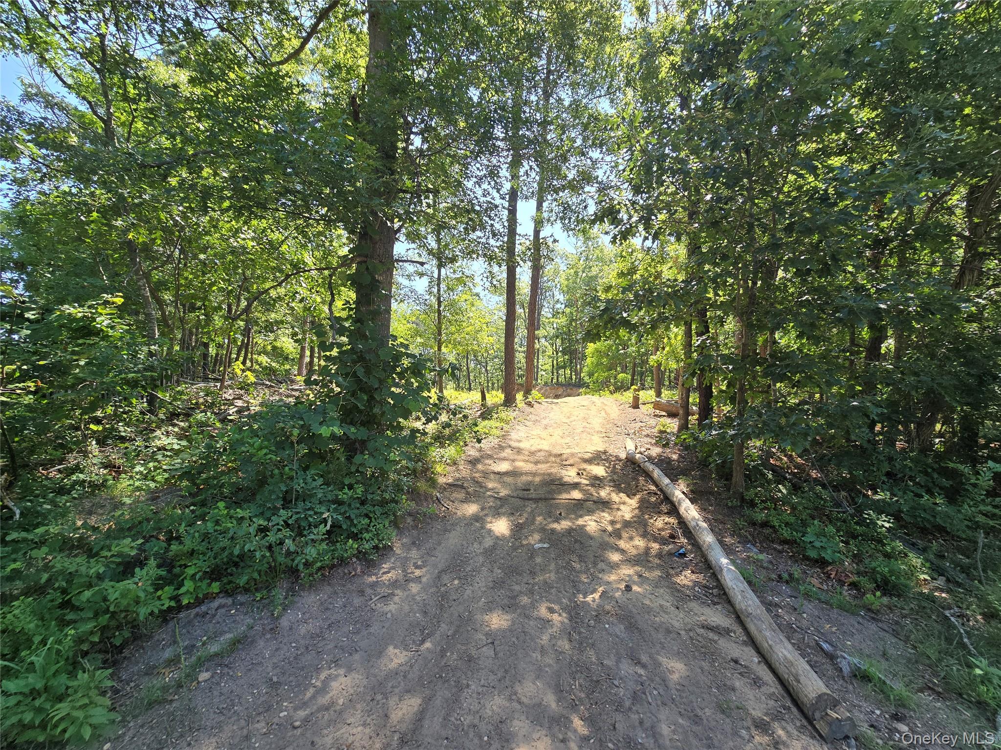 8th image of Manor Yaphank Rd, Brookhaven, NY 11949 | MLS# 1030096