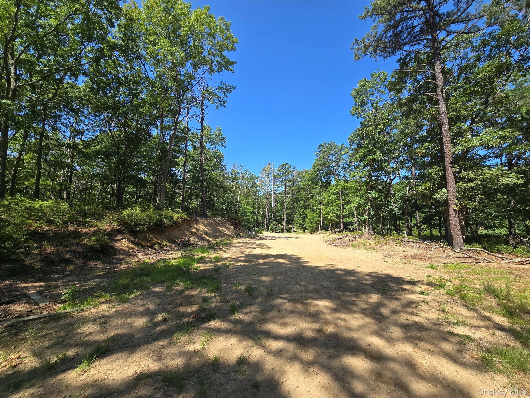 5th image of Manor Yaphank Rd, Brookhaven, NY 11949 | MLS# 1030096