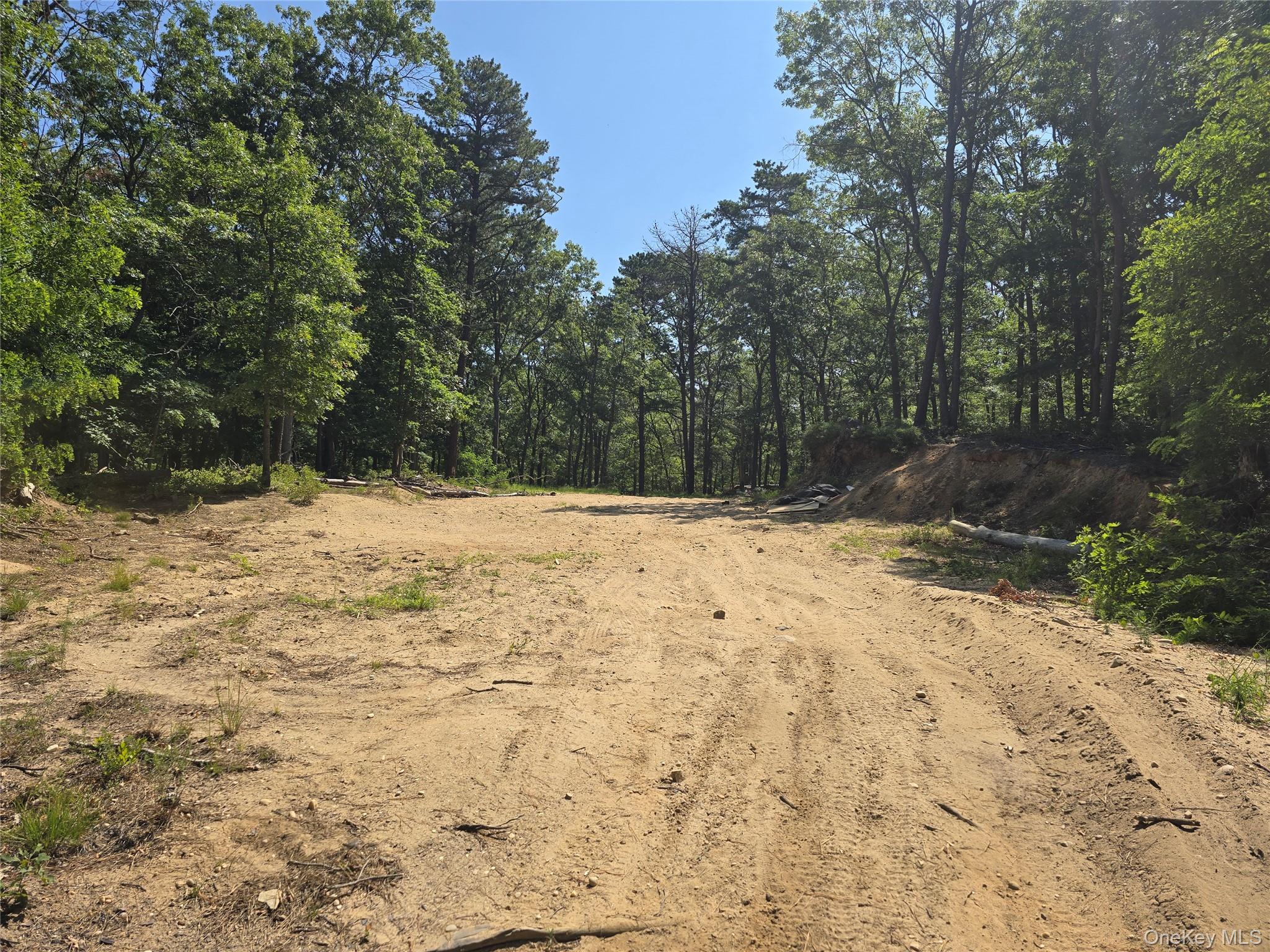 3rd image of Manor Yaphank Rd, Brookhaven, NY 11949 | MLS# 1030096