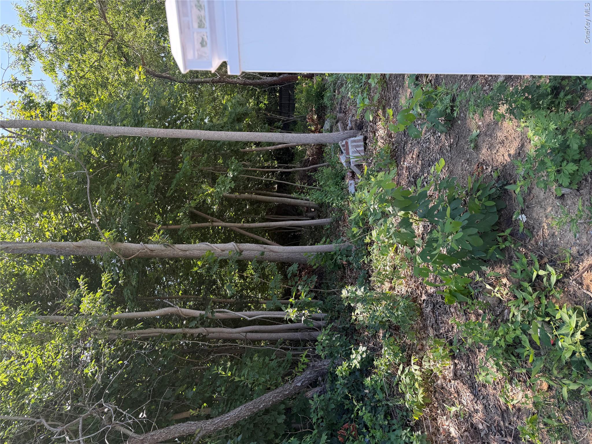 2nd image of 72 Phelps Ln, North Babylon, NY 11703 | MLS# 1030122