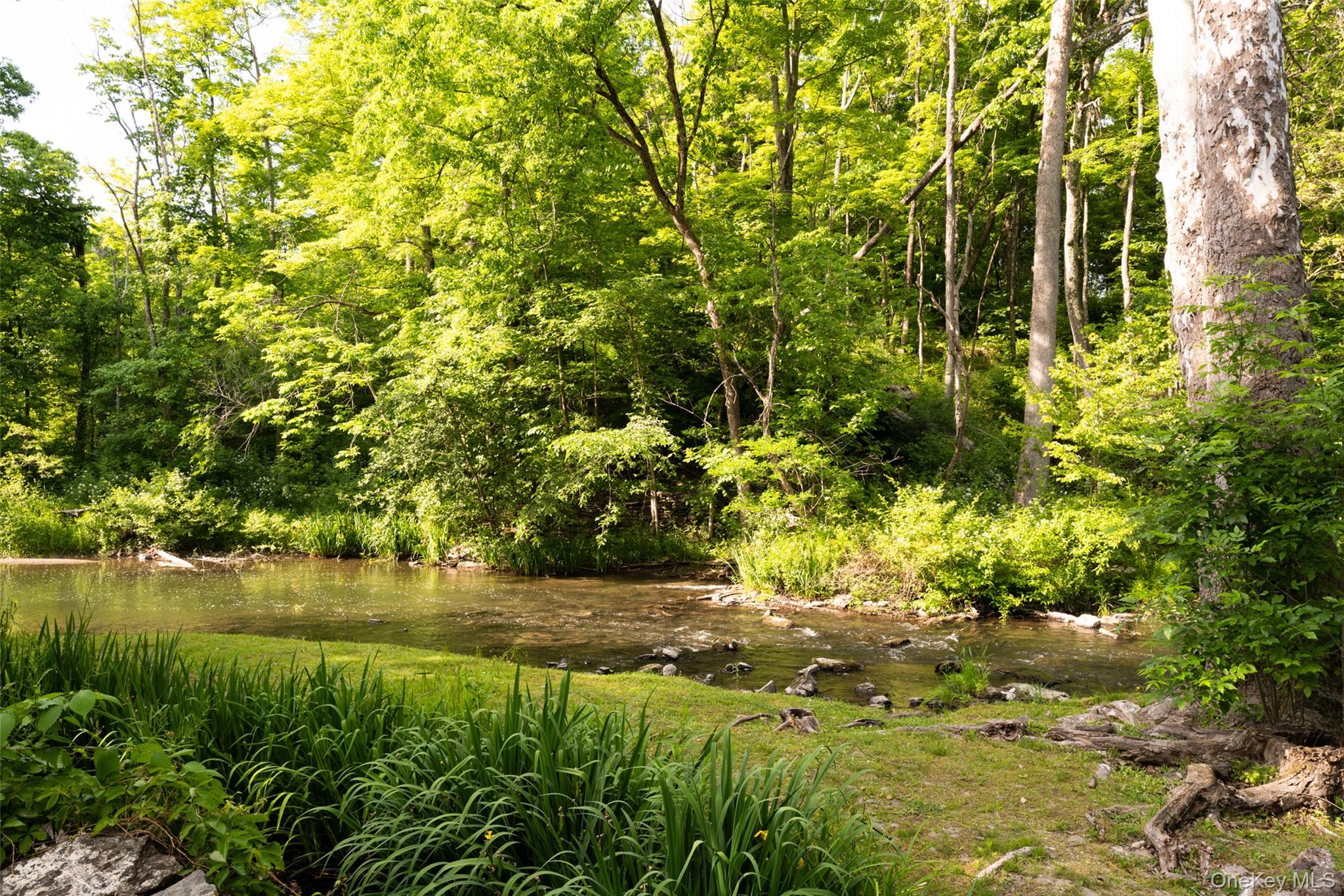 5th image of 4918 Route 82, Pleasant Valley, NY 12578 | MLS# 1030151