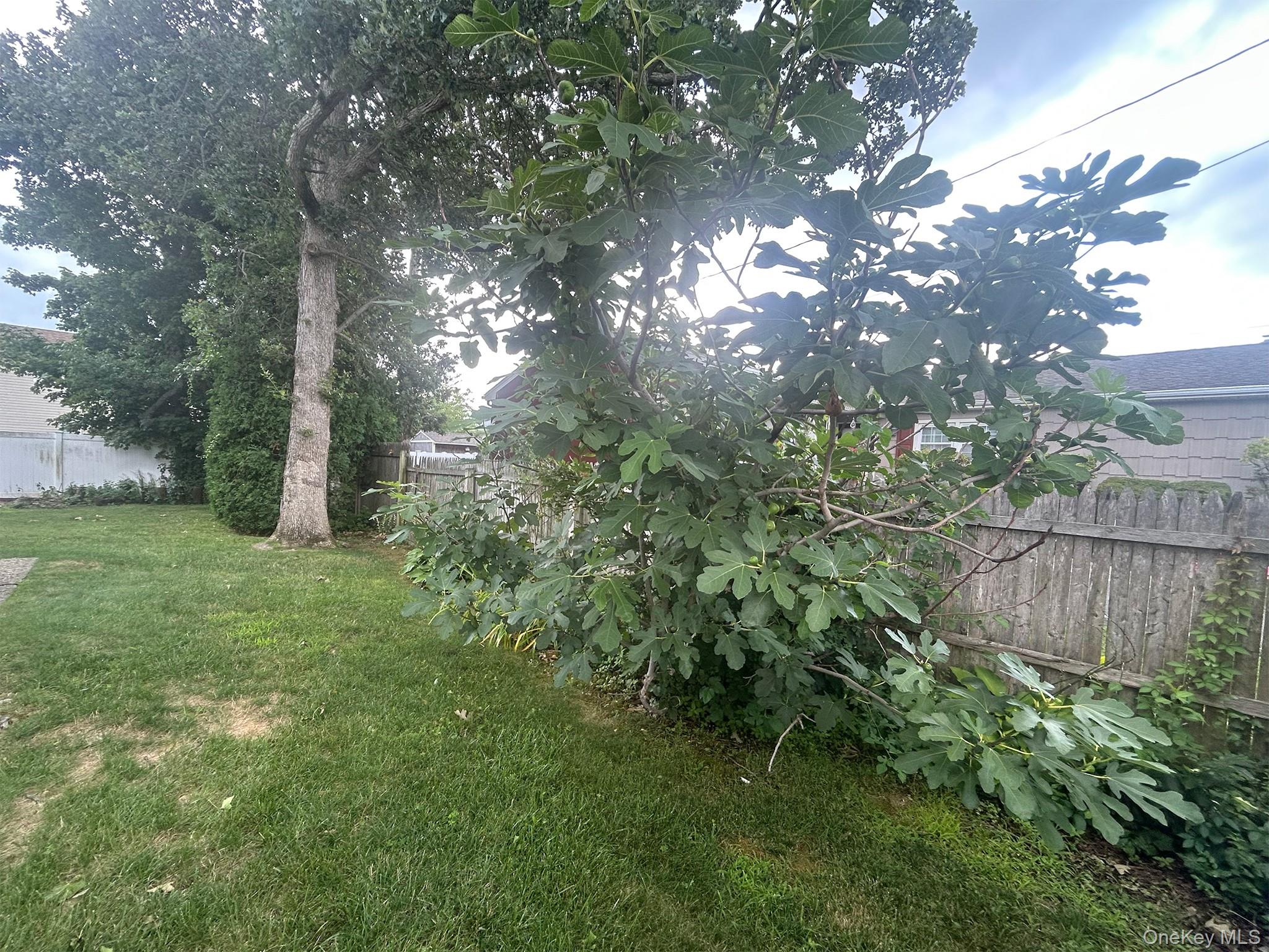 24th image of 344 47th St, Babylon, NY 11757 | MLS# 1030235
