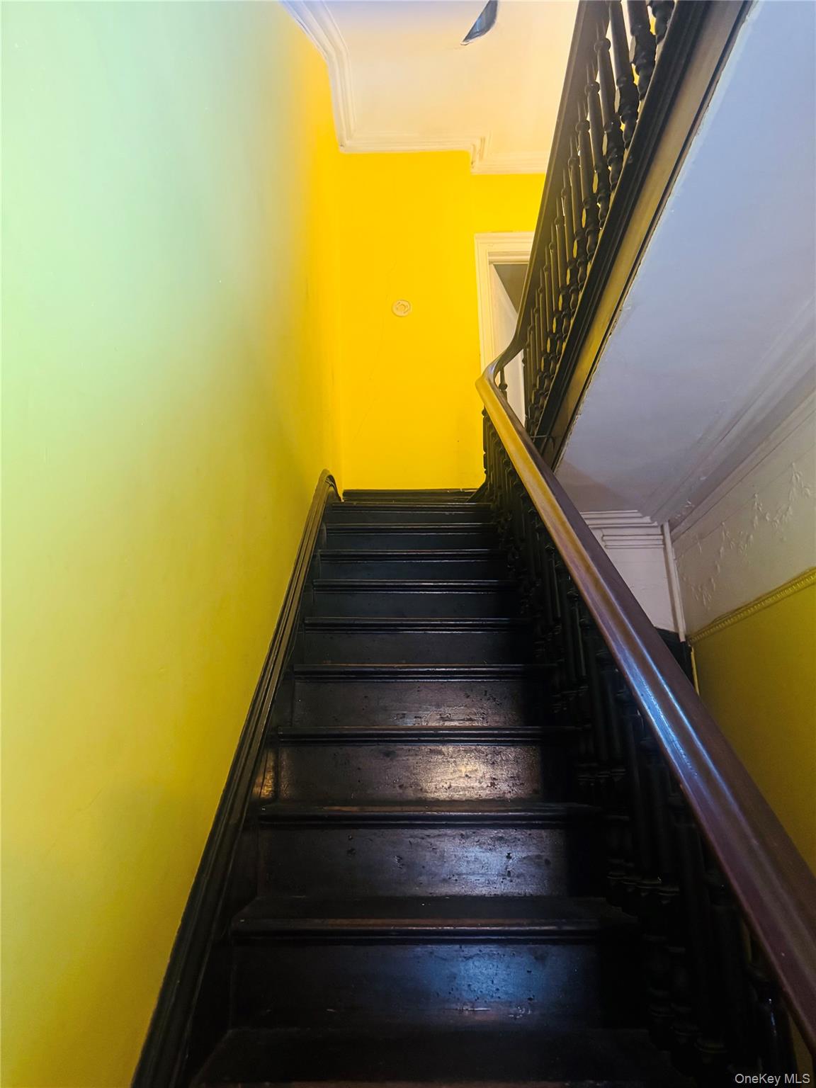 3rd image of 1541 Pacific St, Brooklyn, NY 11213 | MLS# 1030852