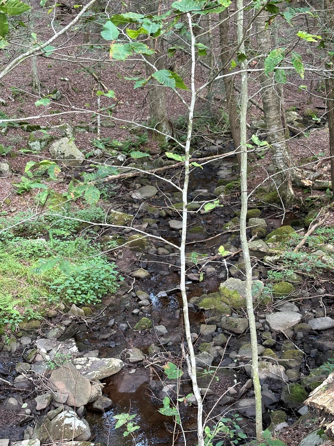 19th image of 260 Schumway Rd, Neversink, NY 12765 | MLS# 1031040