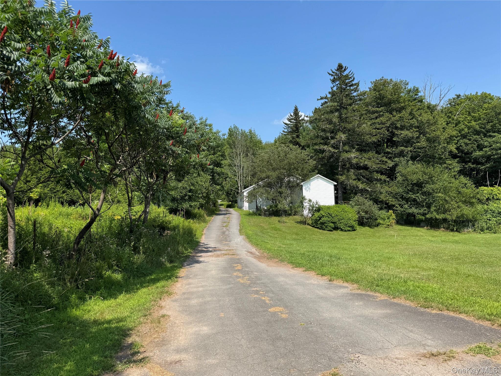 37th image of 6269 State Route 42 #6279, Fallsburg, NY 12788 | MLS# 1031061