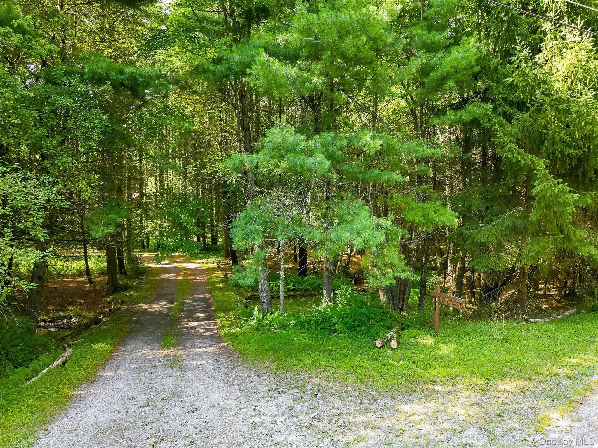 2nd image of 111 Deer Meadow Rd, Bethel, NY 12786 | MLS# 1031460