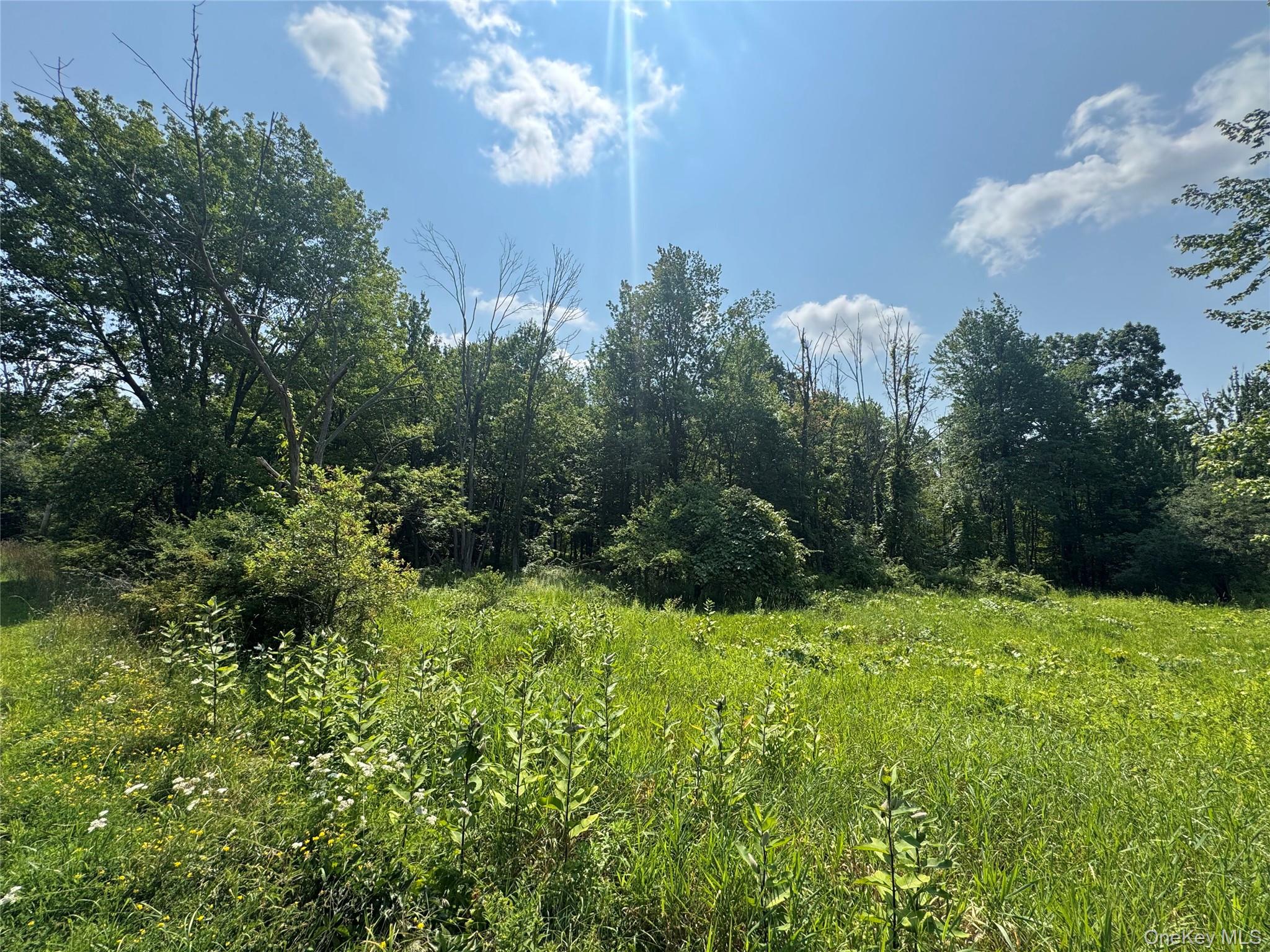 2nd image of 114 Highland Lake Rd, Middletown, NY 10940 | MLS# 1031561