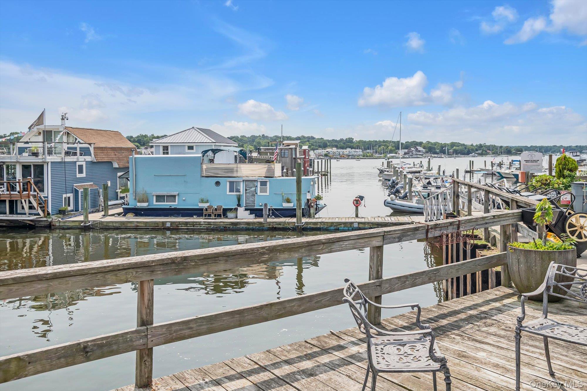 12th image of 24 Matinecock Avenue, North Hempstead, NY 11050 | MLS# 1032119