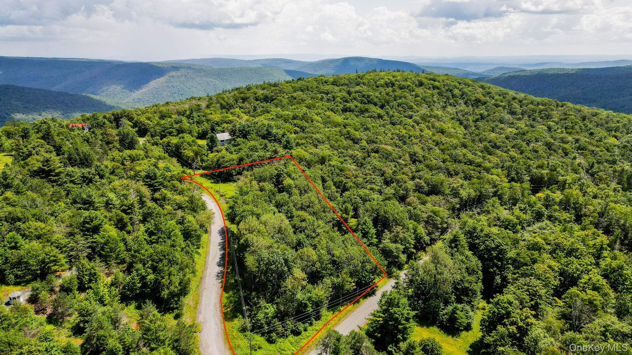 2nd image of 00 Red Hill Knolls Rd, Denning, NY 12740 | MLS# 1032151