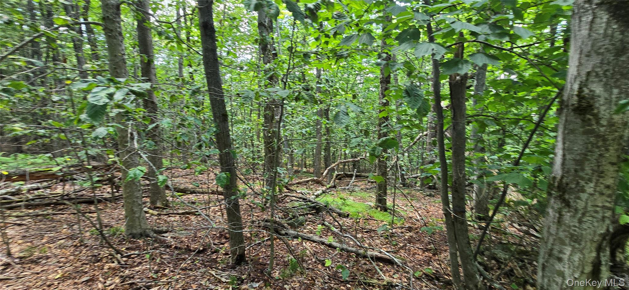 20th image of 00 Red Hill Knolls Rd, Denning, NY 12740 | MLS# 1032151