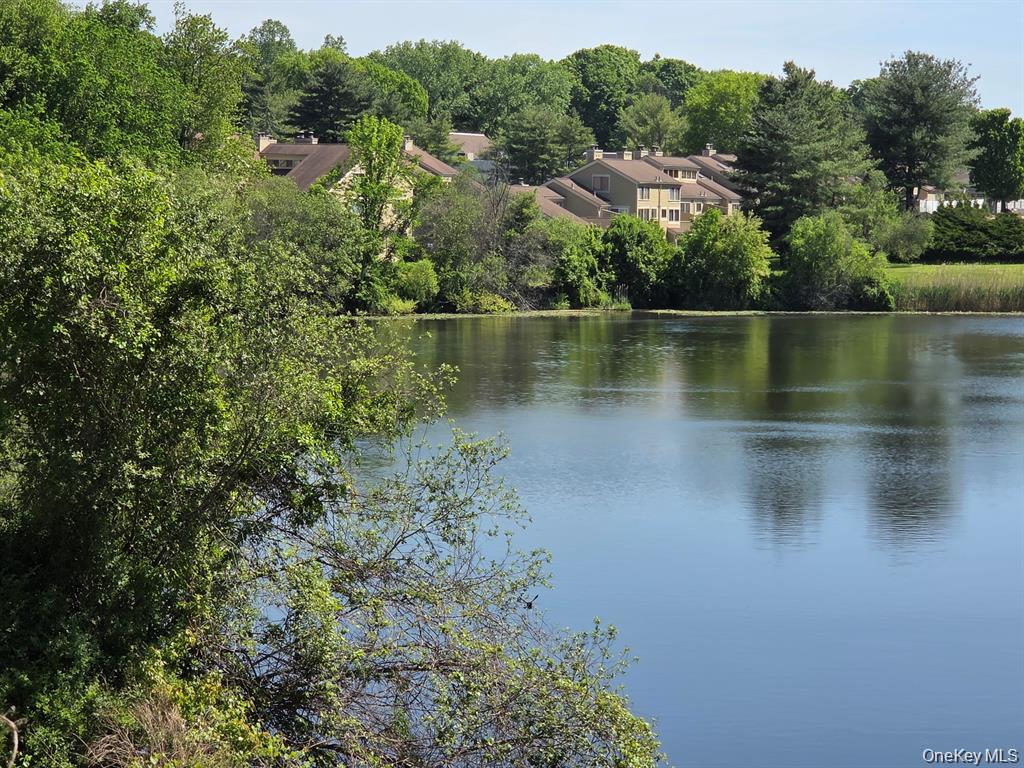 24th image of 230 Lakeside Dr, Lewisboro, NY 10590 | MLS# 1032550