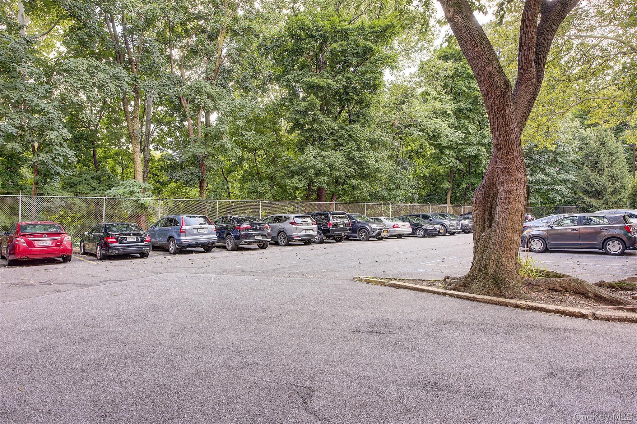 17th image of 161 Pearsall Dr #3F, Mount Vernon, NY 10552 | MLS# 1033168