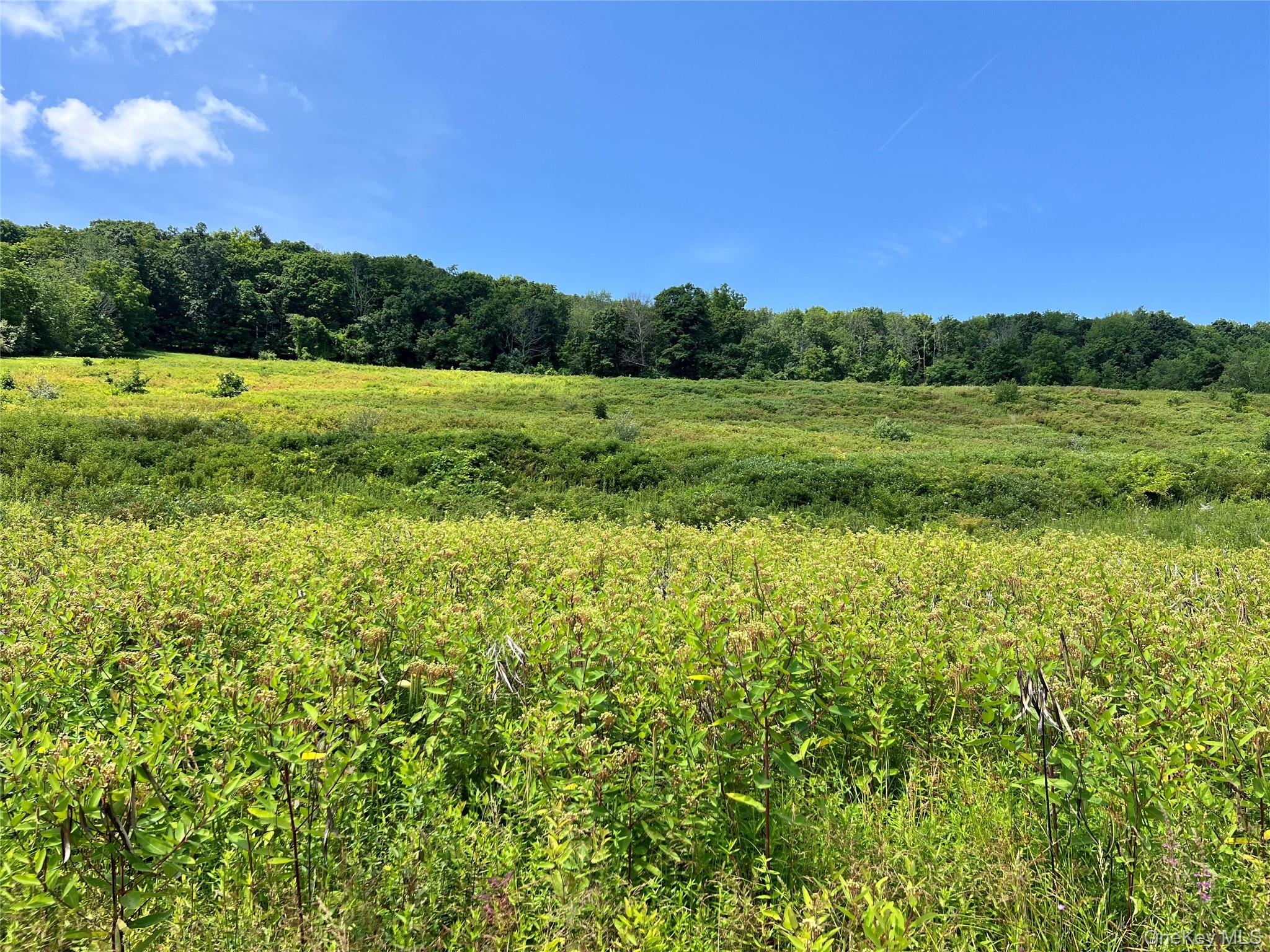 1st image of Lot #4 Mountain Rd, Greenville, NY 12771 | MLS# 1033180
