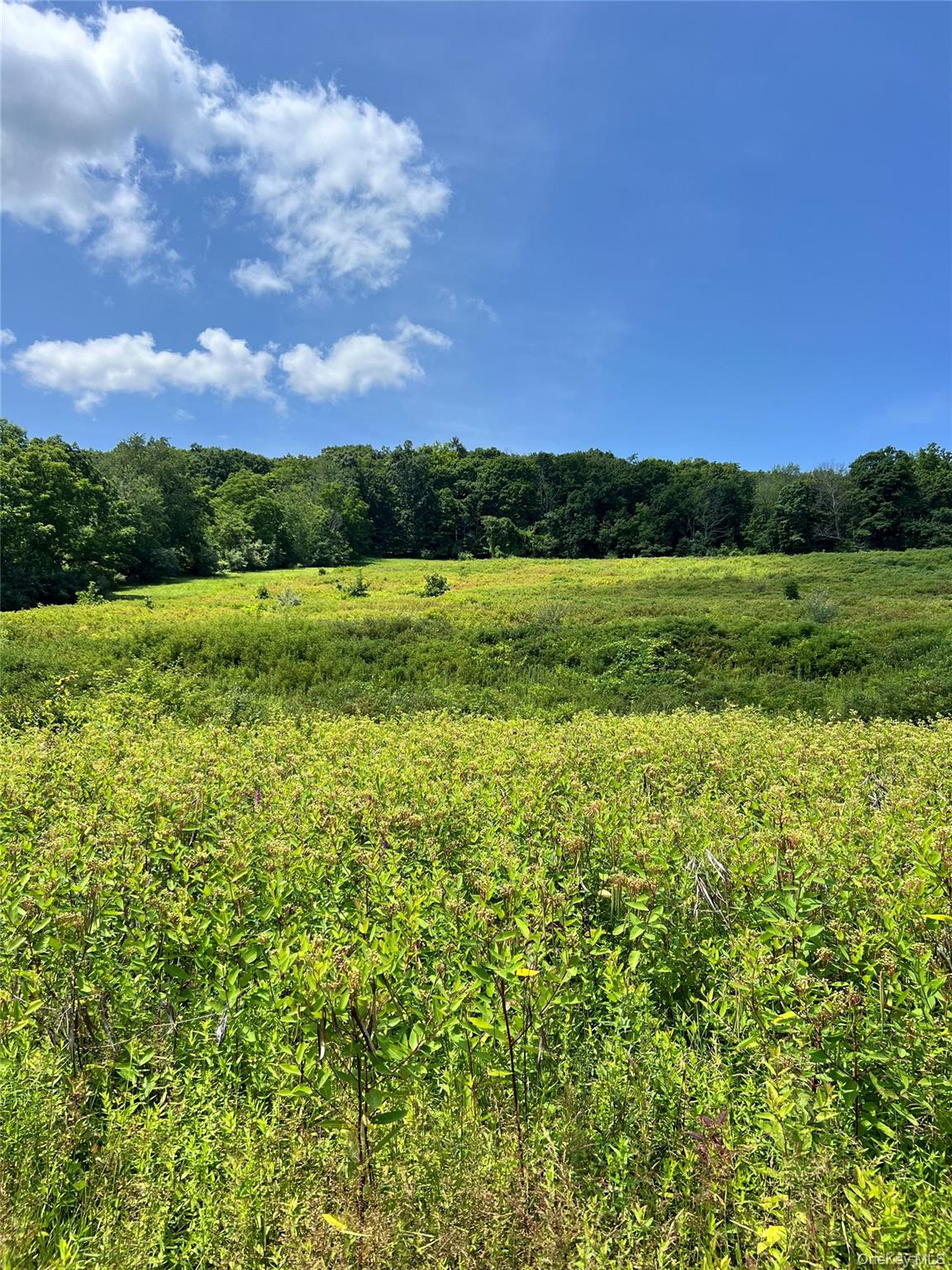 5th image of Lot #4 Mountain Rd, Greenville, NY 12771 | MLS# 1033180