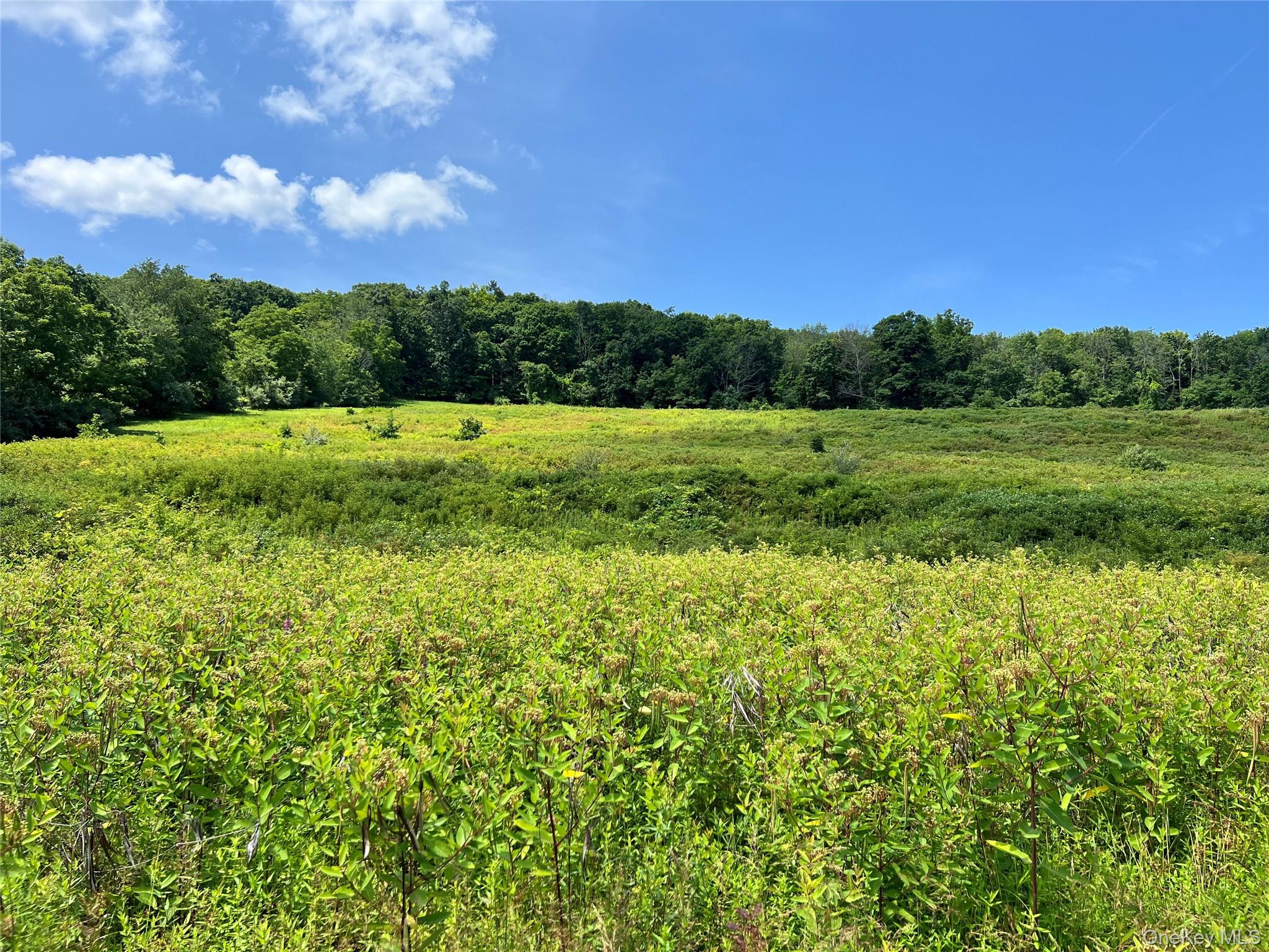 4th image of Lot #4 Mountain Rd, Greenville, NY 12771 | MLS# 1033180