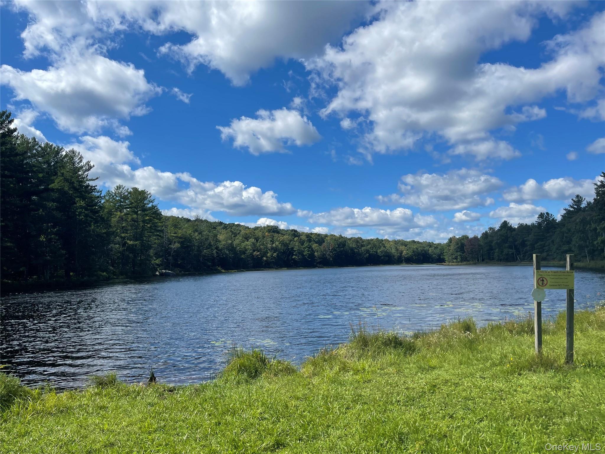 8th image of 14 Willow Ln, Thompson, NY 12701 | MLS# 1033270