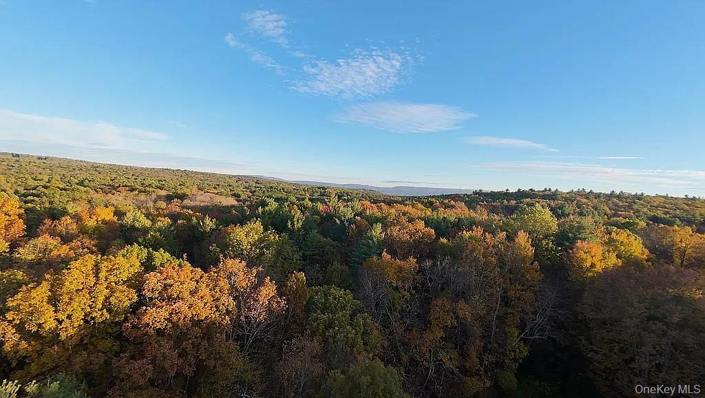 6th image of 55 Hill Rd, Rochester, NY 12404 | MLS# 1033397